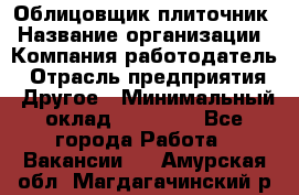 Облицовщик-плиточник › Название организации ­ Компания-работодатель › Отрасль предприятия ­ Другое › Минимальный оклад ­ 25 000 - Все города Работа » Вакансии   . Амурская обл.,Магдагачинский р-н